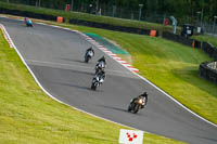 brands-hatch-photographs;brands-no-limits-trackday;cadwell-trackday-photographs;enduro-digital-images;event-digital-images;eventdigitalimages;no-limits-trackdays;peter-wileman-photography;racing-digital-images;trackday-digital-images;trackday-photos